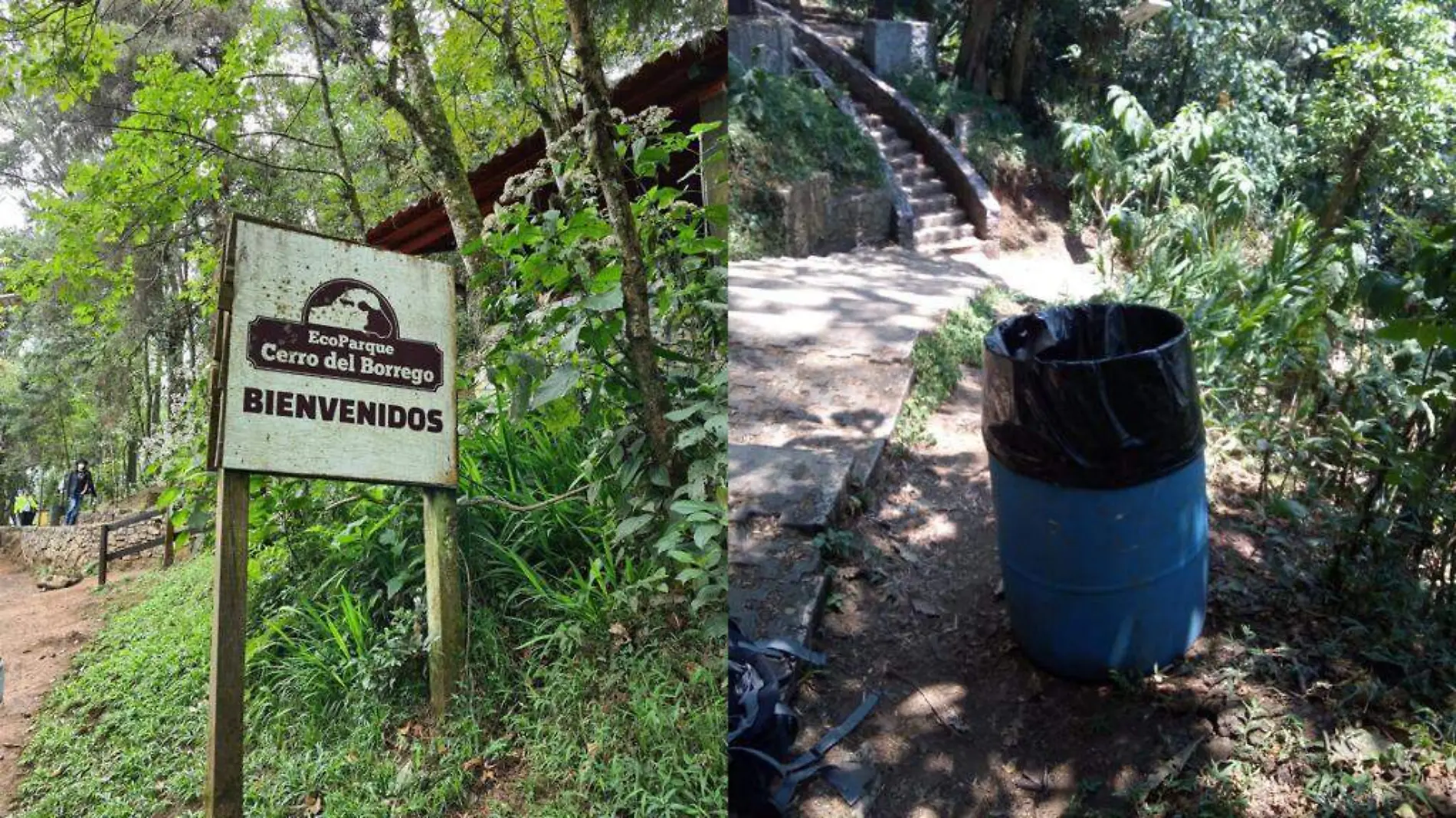 Dan mantenimiento al Cerro del Borrego